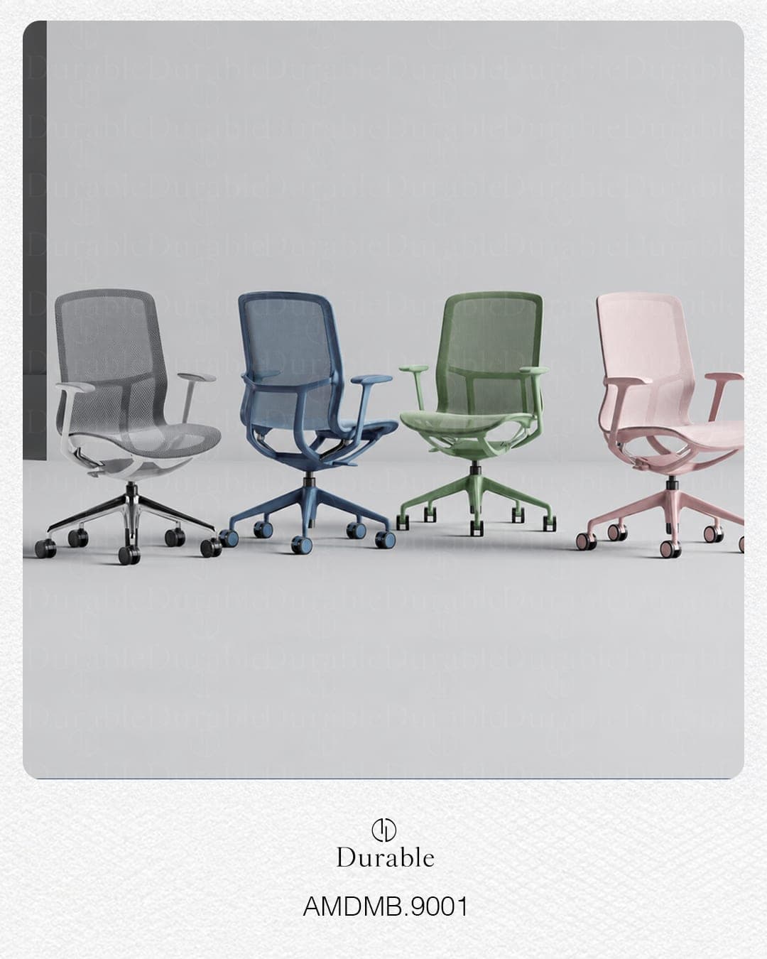 CHAISE SIANN